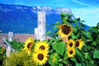 Giorno splendido di fine estate